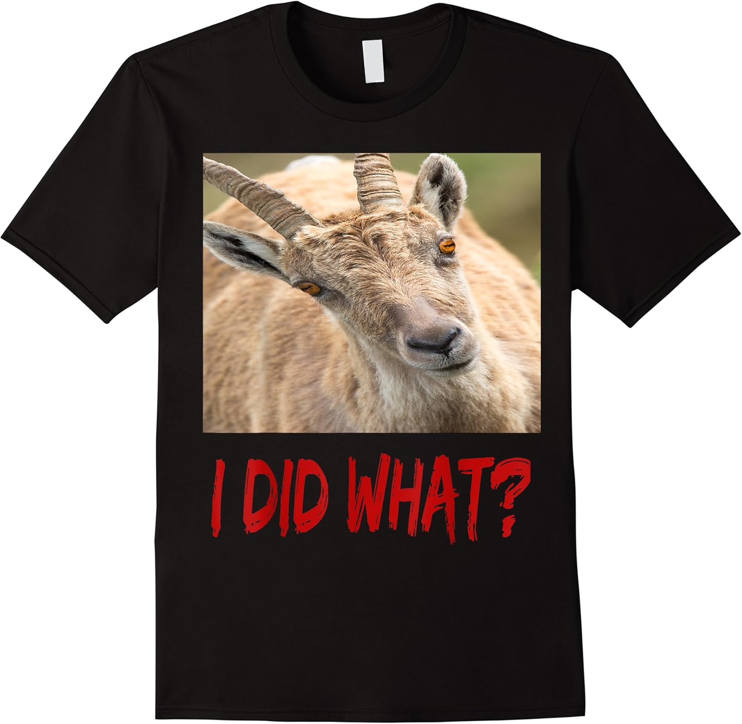 funny horned scapegoat tee t shirt skuid 147721 item.jpg