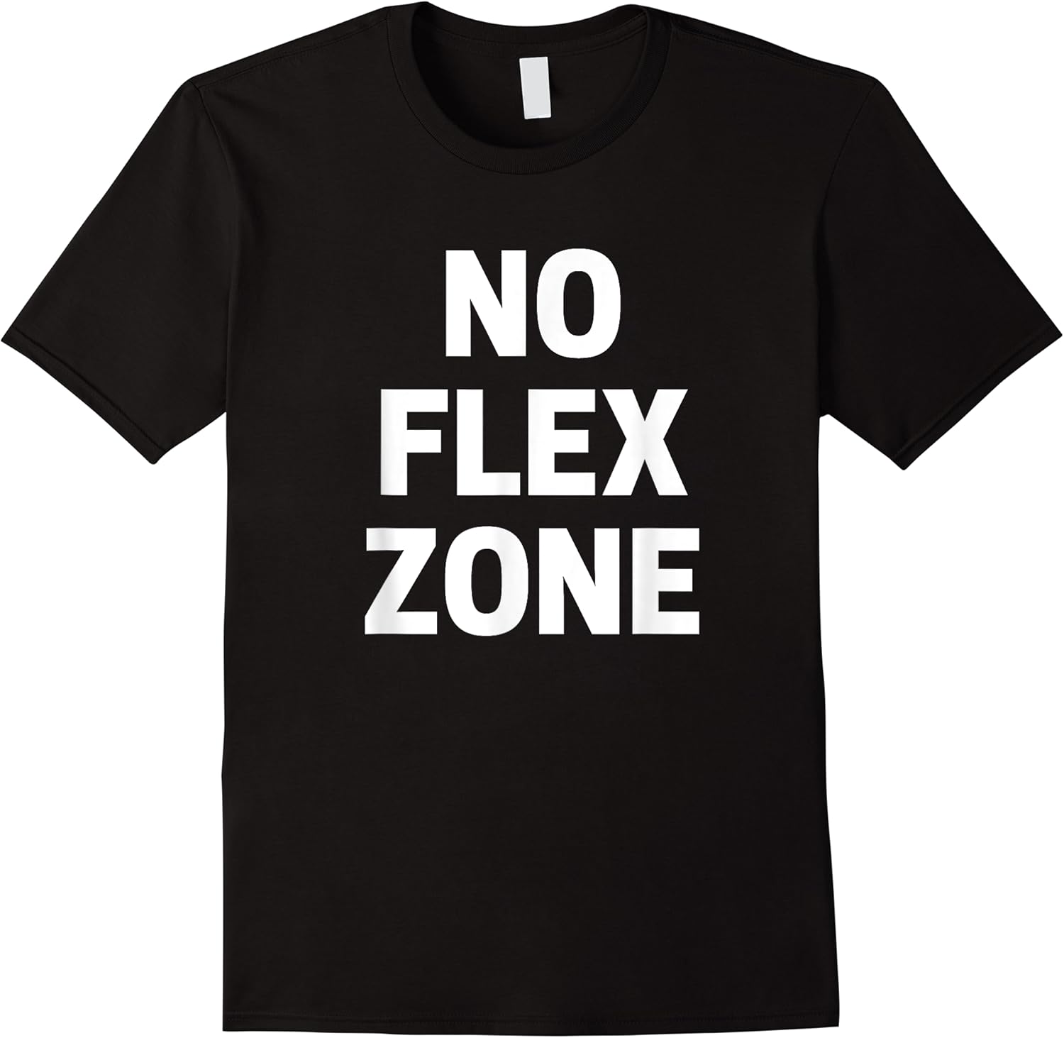 no flex zone t shirt gym funny sarcastic saying tee skuid 178258 item.jpg